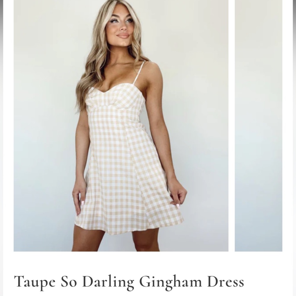 Taupe So Darling Gingham Dress NWT